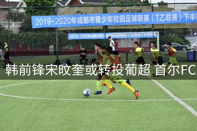 韩前锋宋旼奎或转投葡超 首尔FC履行放行承诺